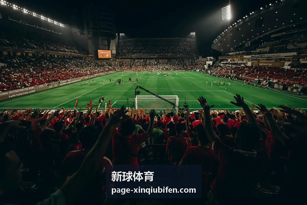 新球体育奥运综合项目赛程与奖牌榜